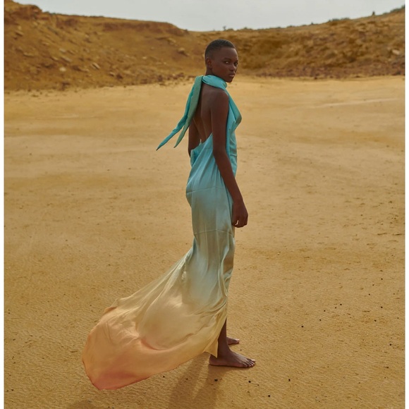 Baobab Providencia Maxi Dress - Picture 1 of 5
